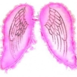 Aripi roz pentru înger și zână