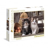 Puzzle Lovely Kittens 1000 piese