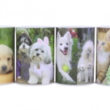 Pușculiță metalică cu câini și pisici