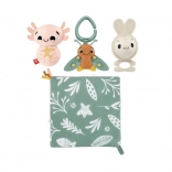 Set cadou pentru bebeluși Lumea simțurilor FISHER‑PRICE