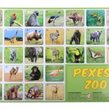 Pexeso ZOO Fotografii Animale