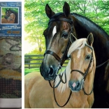 Norimpex pictură cu diamante – cai 30 × 40 cm