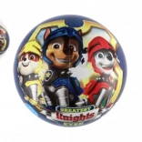 Mingea Paw Patrol 23 cm albastră în plasă