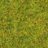 Iarbă statică Pajiște de Vară 2,5 mm