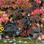 Puzzle Farmecul toamnei 1000 piese PIATNIK