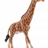 Figurină mascul girafă Schleich Wild Life