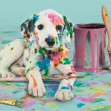 Puzzle 500 piese Dalmațian Amuzant