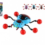 Păianjen Mergător pe Sticlă