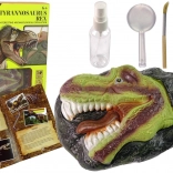 Set educativ săpături DINOZAUR TYRANOSAURUS