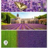 Calendar de perete Paleta 2025