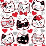 Abțibilduri termotransfer cu ratoni pentru îmbrăcăminte