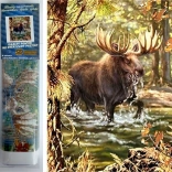 Norimpex Pictură cu diamante Los în râu 30x40cm