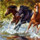 Pictură cu diamante – cai în râu 30 × 40 cm