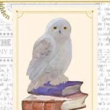 Semn de carte magnetic Harry Potter Hedwig