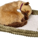 Pisicuță siameză care respiră – pisică realistă din pluș pe culcuș