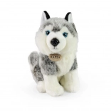 Husky de pluș 30 cm Eco-friendly