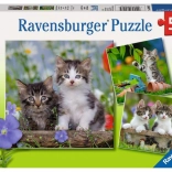 Ravensburger puzzle pisoiași 3×49 piese