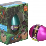 Ou care crește Koala 6,5 cm