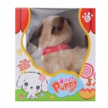 Cățelușul maro care merge