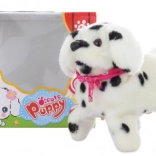 Căţeluş dalmaţian mergător cu salturi