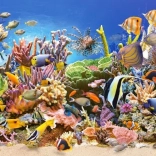 puzzle viața subacvatică 4000 piese CASTORLAND