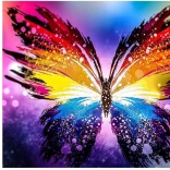 Pictură cu diamante Fluture colorat 30 × 40 cm