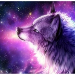 Pictură cu diamante Vise de lup 30x40 cm