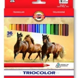 Creioane colorate triunghiulare KOH-I-NOOR TRIOCOLOR, 36 buc.