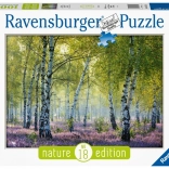 Puzzle Pădure de Mesteacăn 1000 piese Ravensburger