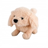 Căţeluş pe baterii bej