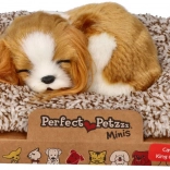 Căţeluş adormit Cavalier King Charles Perfect Petzzz