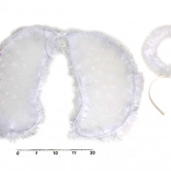 Set de carnaval îngeresc