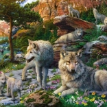 Ravensburger lupi de primăvară puzzle 1500 piese