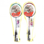 Set de badminton cu fluturași în husă