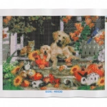 Norimpex pictură cu diamante – distracție de toamnă 30 × 40 cm