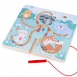 Labirint magnetic – pădure