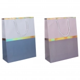 Pungă cadou 18 × 24 × 8,5 cm – universală