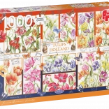Puzzle Lalele olandeze 1000 piese JUMBO