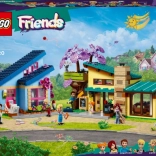 LEGO Friends casele de familie ale lui Olly și Paisley