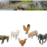 Animale de casă în cutie