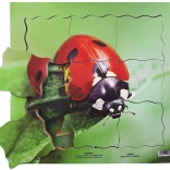 Puzzle stratificat din lemn Buburuză și ciclul său de viață 19 piese