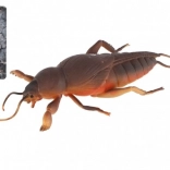 Șopârlă antistres extensibilă din TPR 18 cm