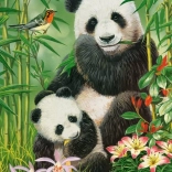 Puzzle Castorland Panda Brunch 300 piese
