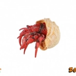Figurină din plastic, crab pustnic, 7 cm