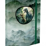 Mape pentru caiete școlare Dino A4