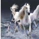 Norimpex pictură cu diamante – armăsari albi în galop 30 × 40 cm