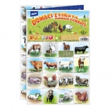 Pexeso Animale Domestice