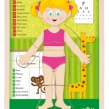 Puzzle din lemn Woody, față-verso, corpul uman – fată (în engleză)