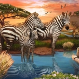Puzzle Zebre 500 piese