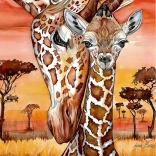 Puzzle girafe 500 piese